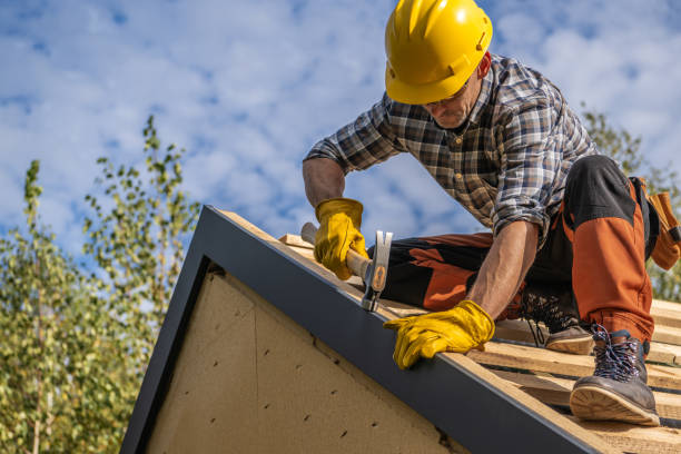 Best Roof Moss and Algae Removal  in West Sayville, NY